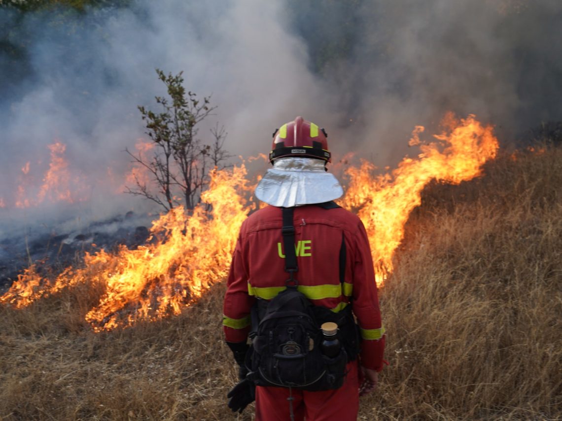 Mediterranean wildfires are no accident