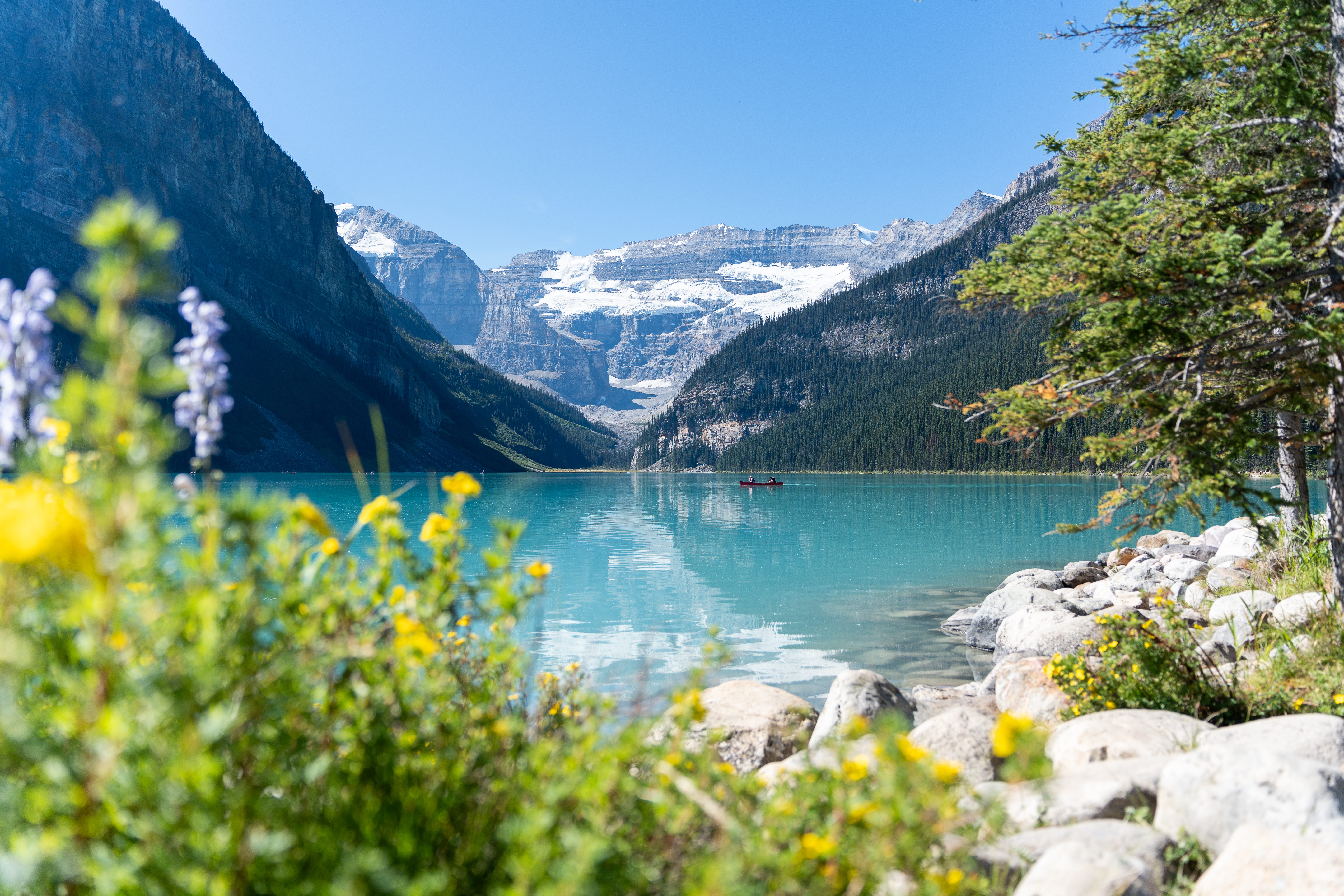 Vibrant wildflowers in the foreground contrast with the turquoise alpine lakes and towering mountains, creating a breathtaking natural scene.