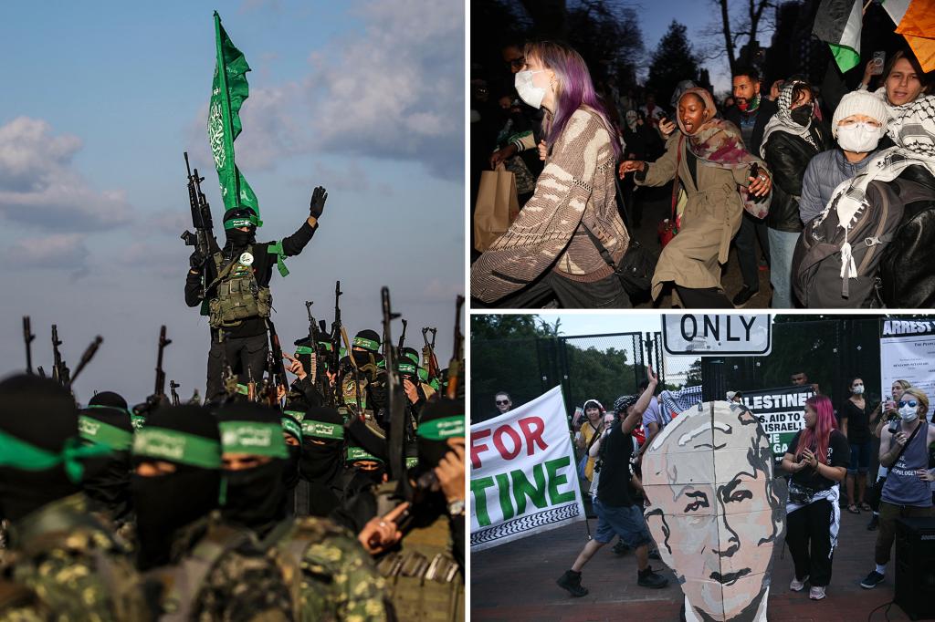 More than 60% of Gen Z in US support Hamas over Israel: survey