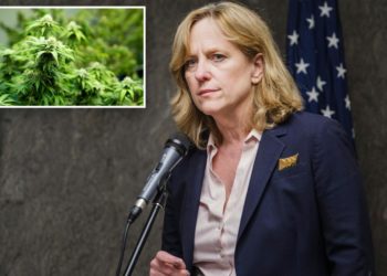 NY authorities crack $2.5M drug smuggling ring, seize over 2K pounds of illegal weed : DA’s office