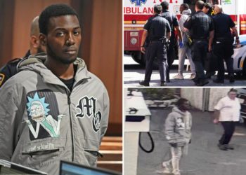 NYC carjacker seriously injures 87-year-old woman in wild morning crime spree: prosecutors