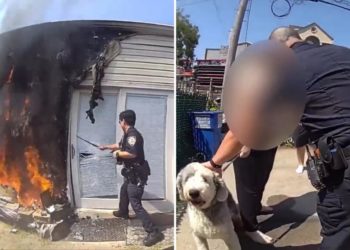 NYC cops battle flames to save residents, dog in Coney Island