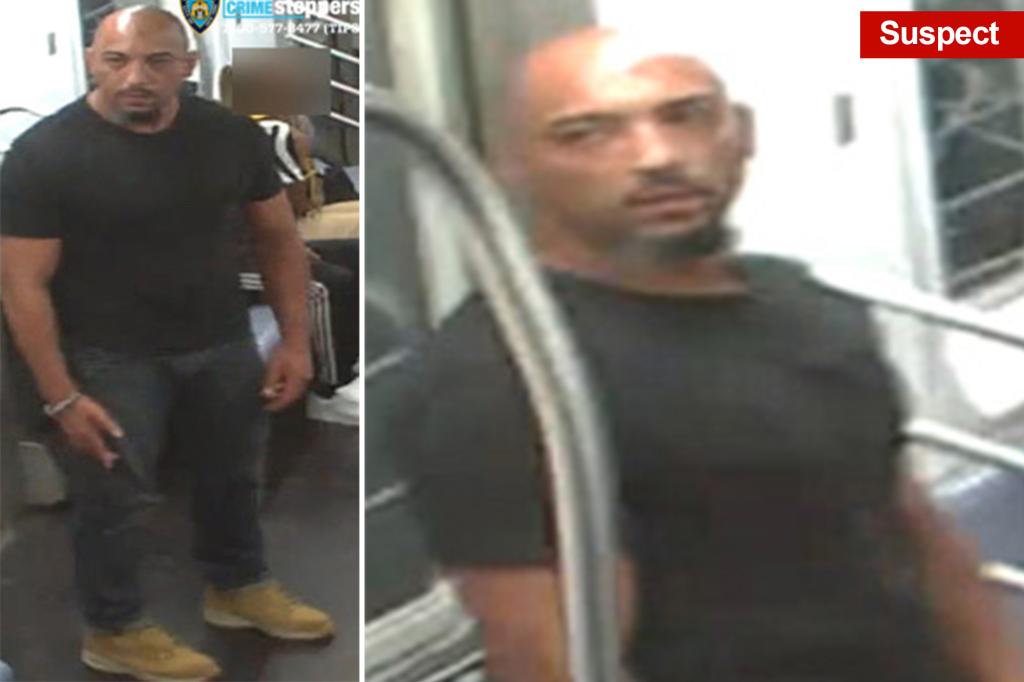 NYC straphanger pummels 64yo woman who confronted him for smoking on train