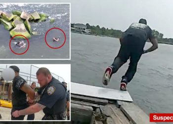 NYPD bodycam shows fearless cops plunging into water after alleged car thief