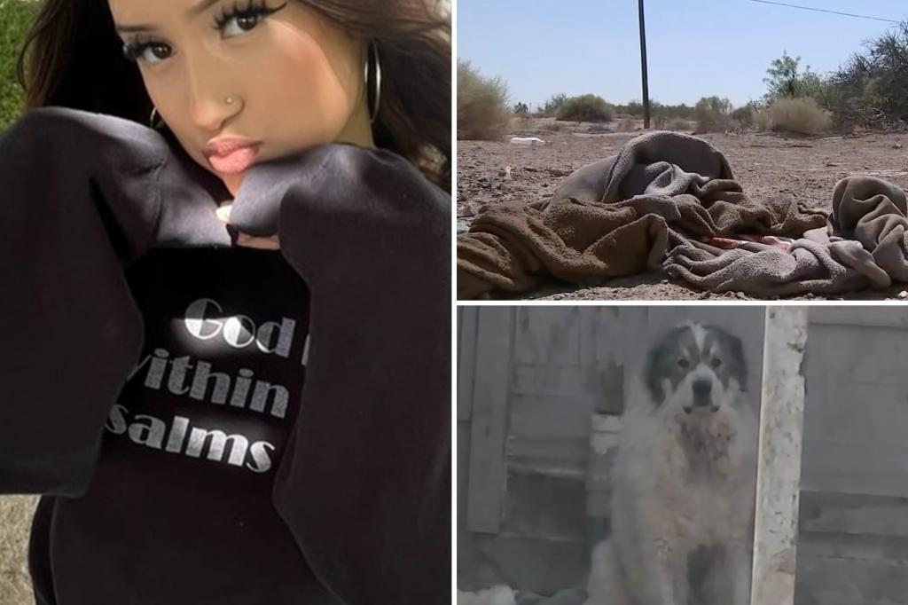 Pack of 16 dogs attacks teen on jog in California