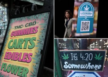 Pot peddler forced to abruptly yank plan for NYC shop over latest state debacle