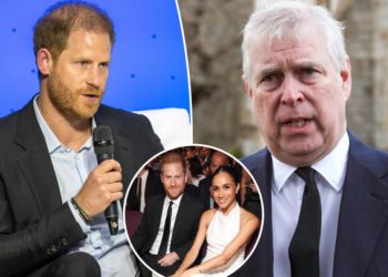 Prince Harry denies getting into bloody brawl with Prince Andrew over comments about Meghan Markle
