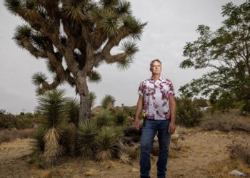 Property owners recoil at cost, burden of Joshua tree protections