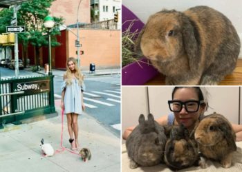 Rabbits used in Anna Delvey photoshoot dumped in Prospect Park, sparking outrage: ‘Regret it deeply’
