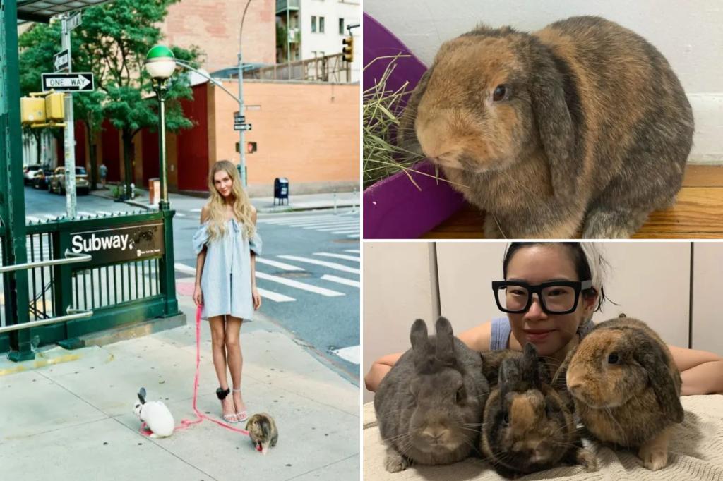 Rabbits used in Anna Delvey photoshoot dumped in Prospect Park, sparking outrage: ‘Regret it deeply’
