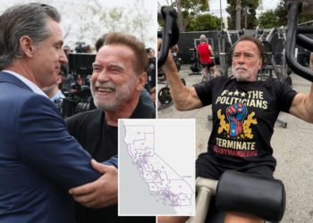 Schwarzenegger taunts Newsom with message targeting Dem redistricting push