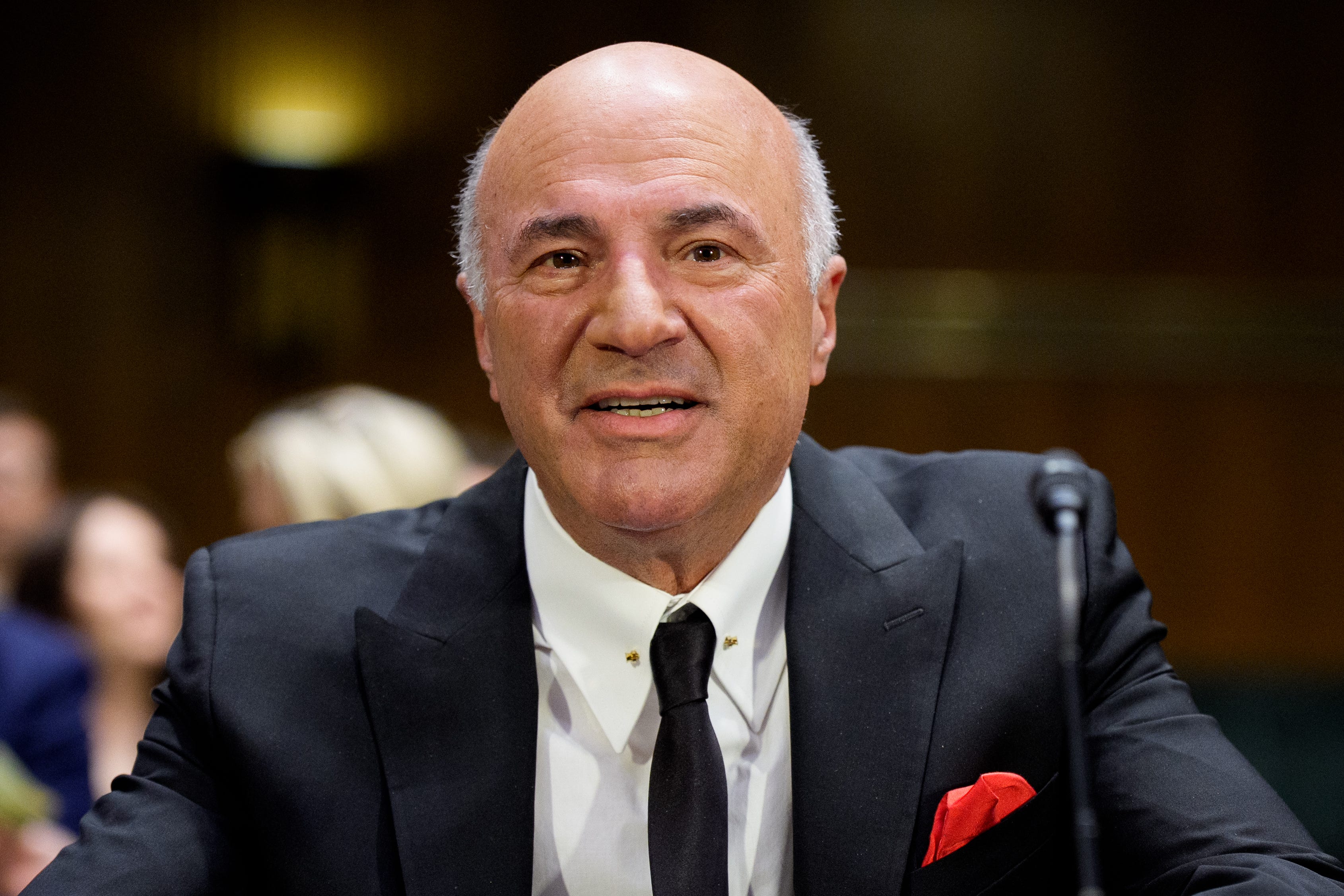 Kevin O'Leary is a