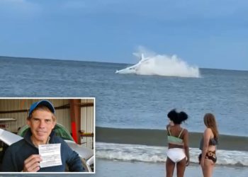 Small plane tumbles into ocean but pilot’s quick thinking averts disaster: ‘The engine just stopped’