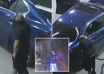 Suspect stops for gas in the middle of high speed car chase with cops – and still gets away: report