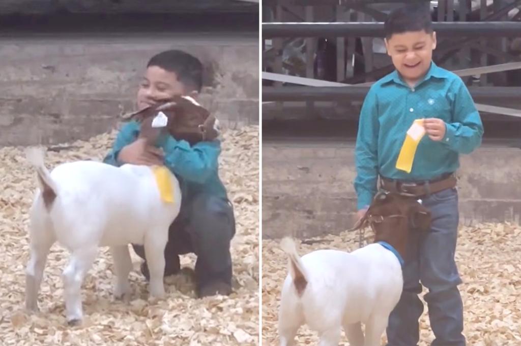 Texas boy’s heartwarming moment with prize-winning goat at animal show goes viral: ‘I love goats’
