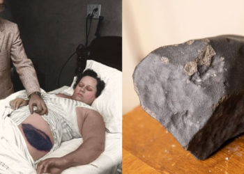 The First Person Ever Hit by a Meteorite Has the Craziest Space Story Ever
