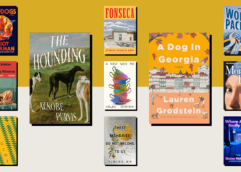 The Novels We’re Reading in August