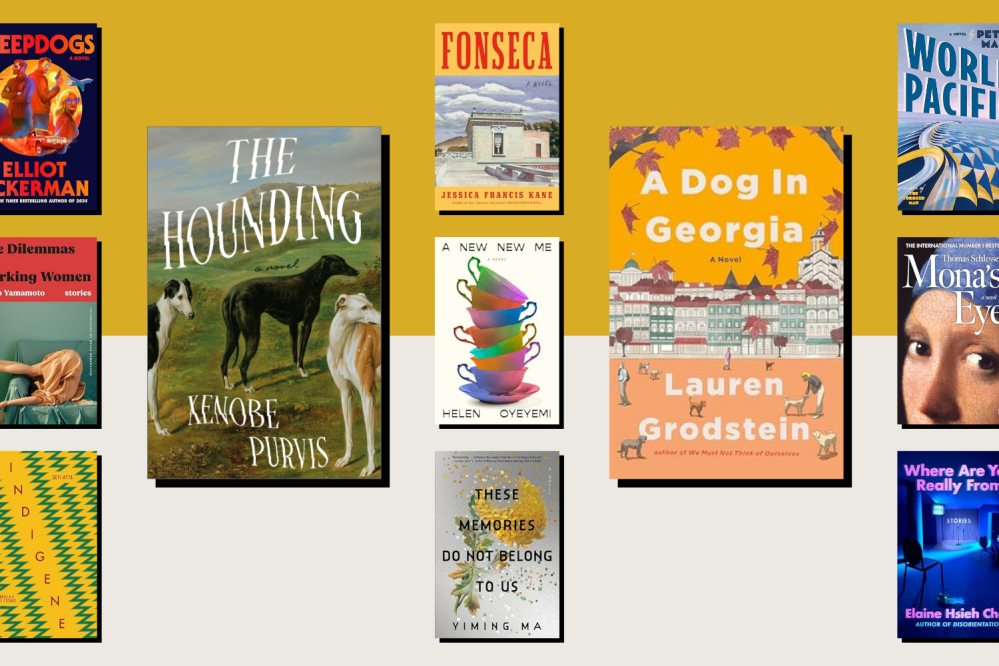 The Novels We’re Reading in August