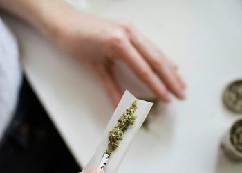 Trump Admin Considers Reclassifying Cannabis as a Less Dangerous Drug