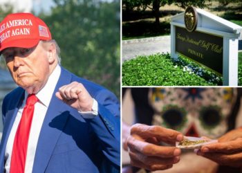 Trump eyes reclassifying marijuana as less dangerous drug: report