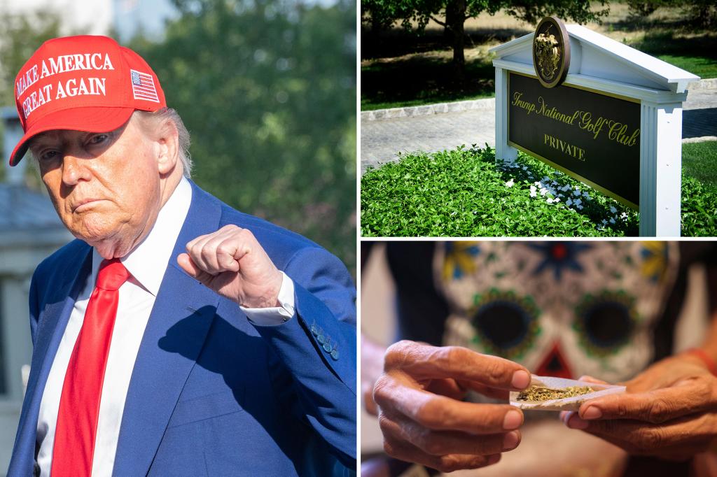 Trump eyes reclassifying marijuana as less dangerous drug: report