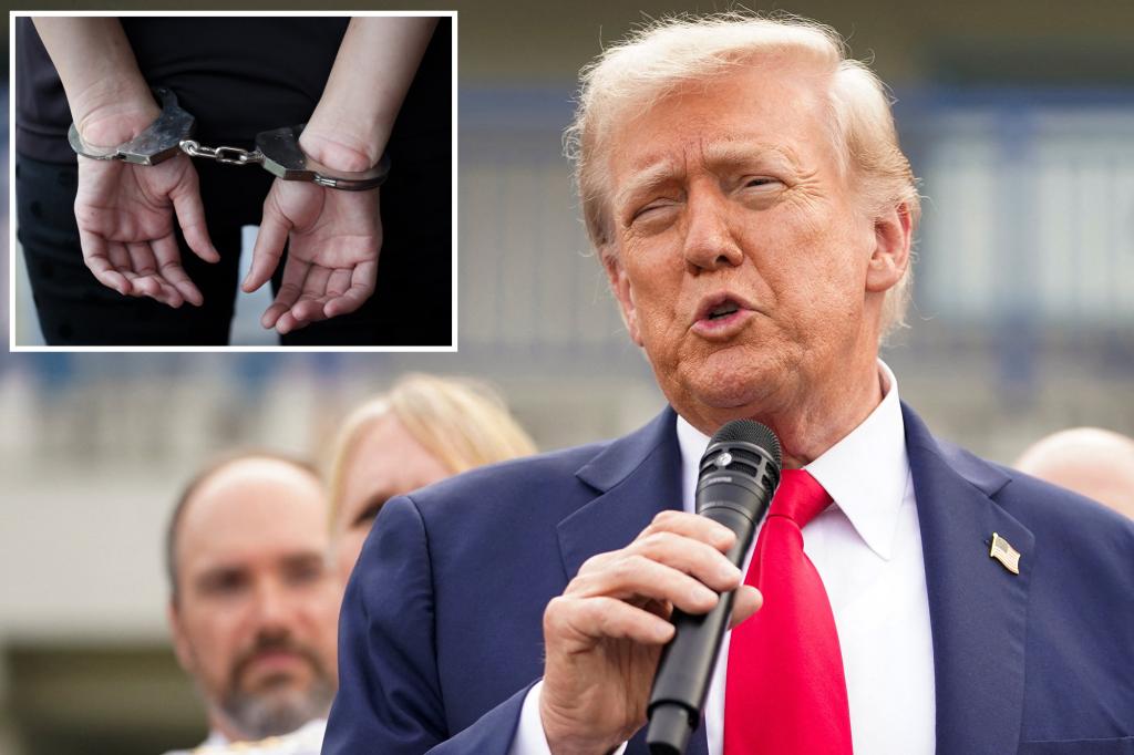 Trump to sign executive order ending cashless bail, threatens to revoke federal funding in lax jurisdictions: ‘Obvious threat to public safety’