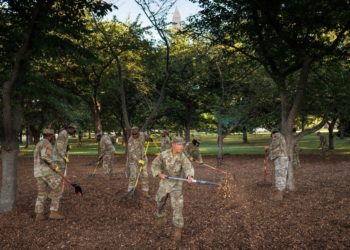 Trump’s Lethal Landscapers