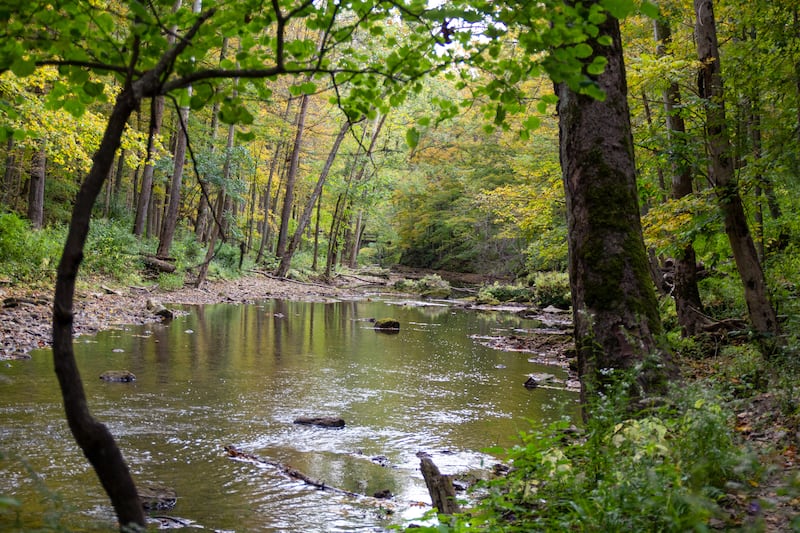Little Miami River Near Yellow Springs, Ohio.