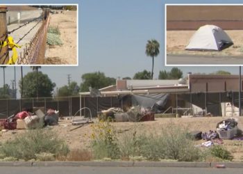 Woman killed near California park after being torn apart by pack of stray dogs, pit bull shot by cops
