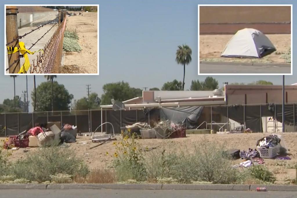 Woman killed near California park after being torn apart by pack of stray dogs, pit bull shot by cops