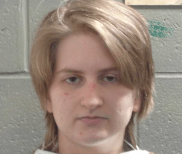 Olivia Wilkins is accused of trying to run over US Border Patrol agents in Maine.
