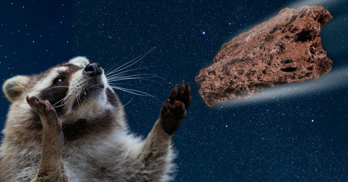 You’re More Likely To Die From an Asteroid Than Rabies, Scientists Say