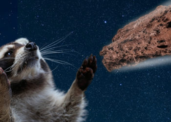 You’re More Likely To Die From an Asteroid Than Rabies, Scientists Say