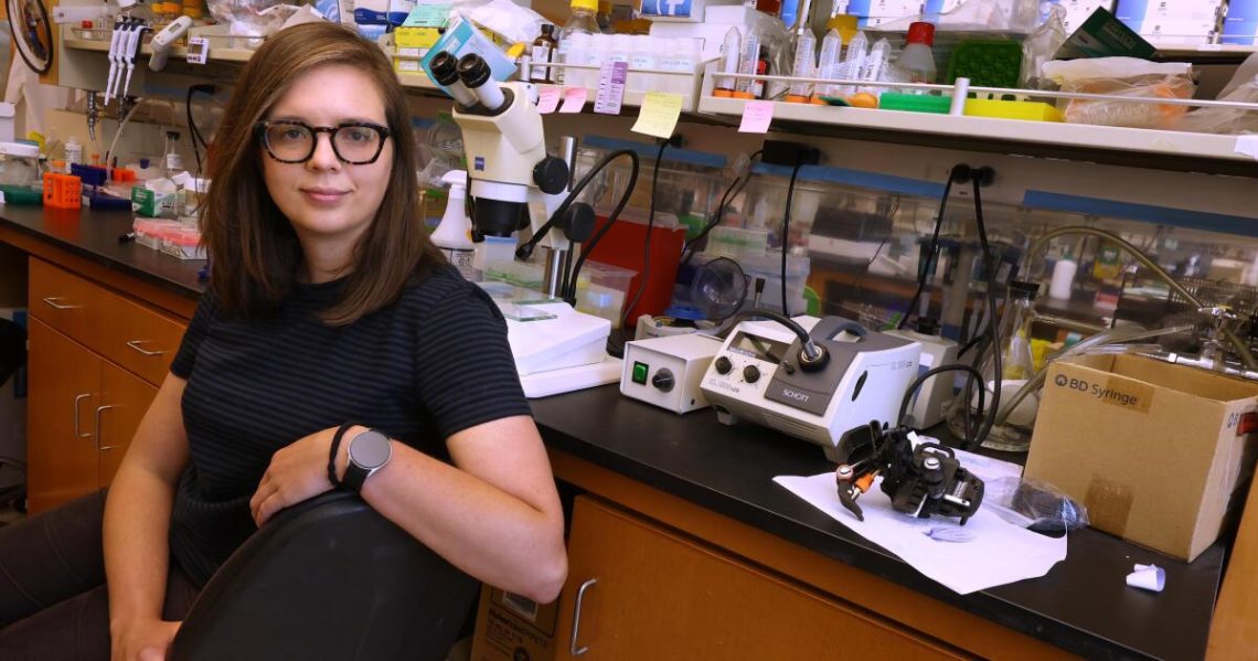 ‘A continual assault.’ How UCLA’s research faculty is grappling with Trump funding freeze