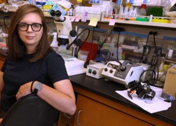 ‘A continual assault.’ How UCLA’s research faculty is grappling with Trump funding freeze