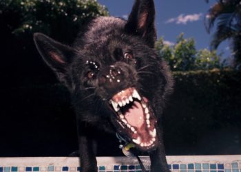 ‘Breathless in Glowing Air’ Captures Beauty Before It’s Lost