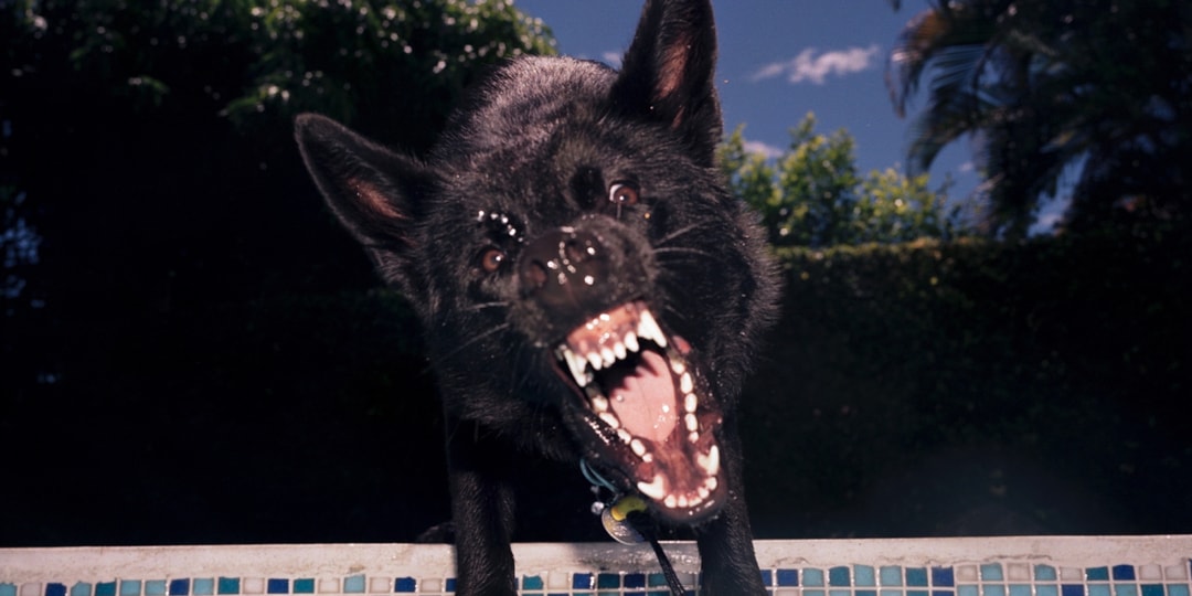 ‘Breathless in Glowing Air’ Captures Beauty Before It’s Lost