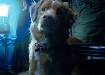 ‘Good Boy’ Official Trailer Shows a Horror Film Entirely from a Dog’s Perspective