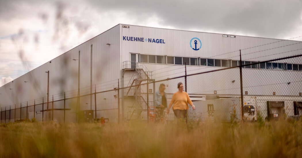 $10 Million in Contraceptives Have Been Destroyed on Orders From Trump Officials