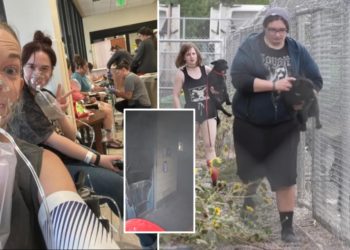 14 Montana animal shelter workers hospitalized after FBI meth burn goes wrong