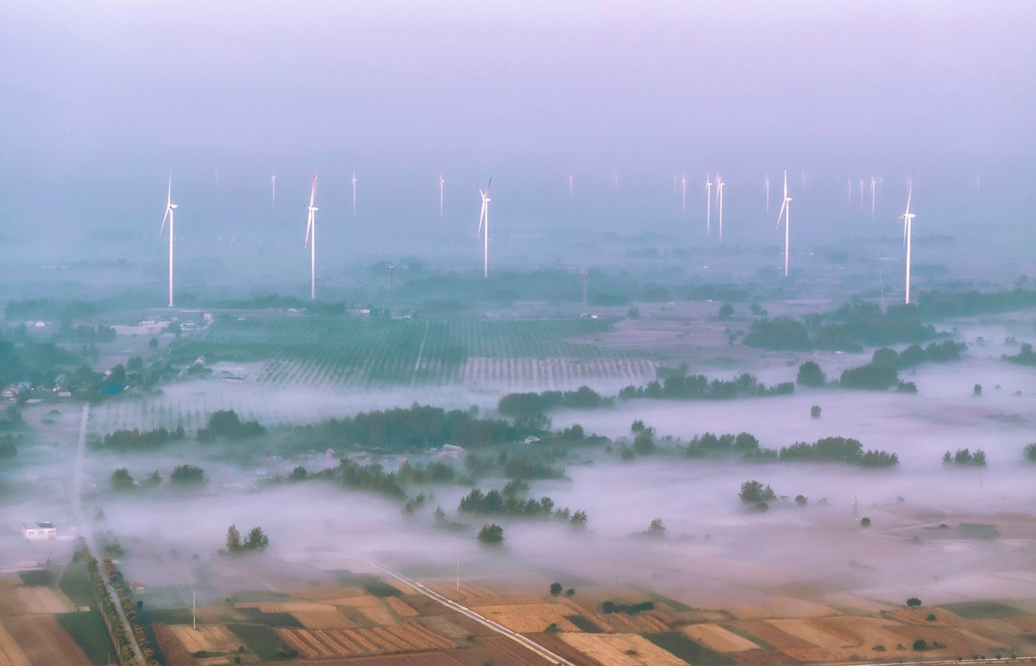 A wide landscape view shows wind turbines on the horizon amid a foggy landscape. Low clouds of fog obscure small fields closer to the camera; the tops of some trees are visible poking up through the white blanket of fog.