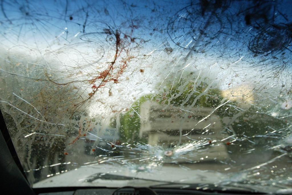Bullet holes and bloodstains on a shattered car windshield.