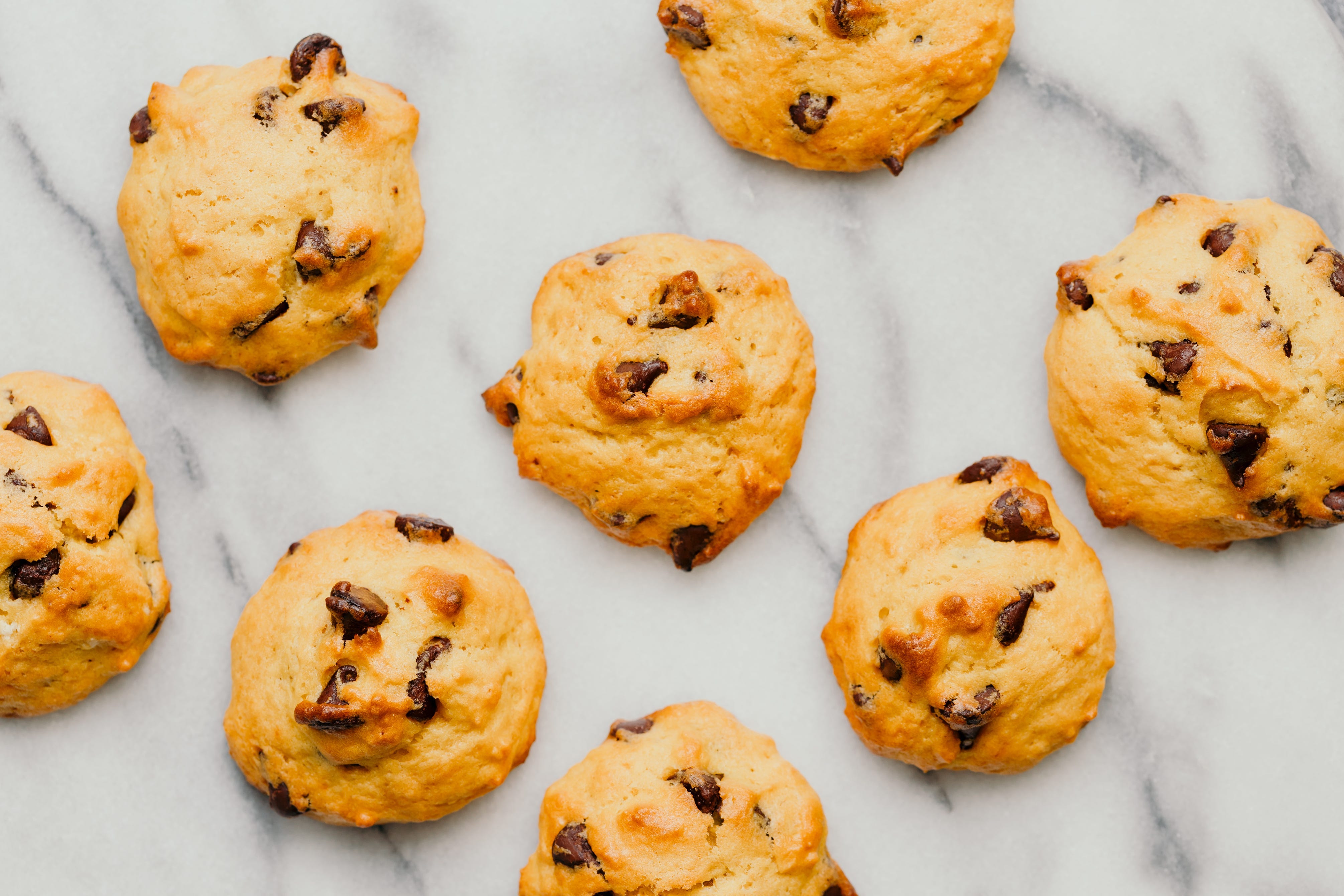 pumpkin chocolate chip cookies