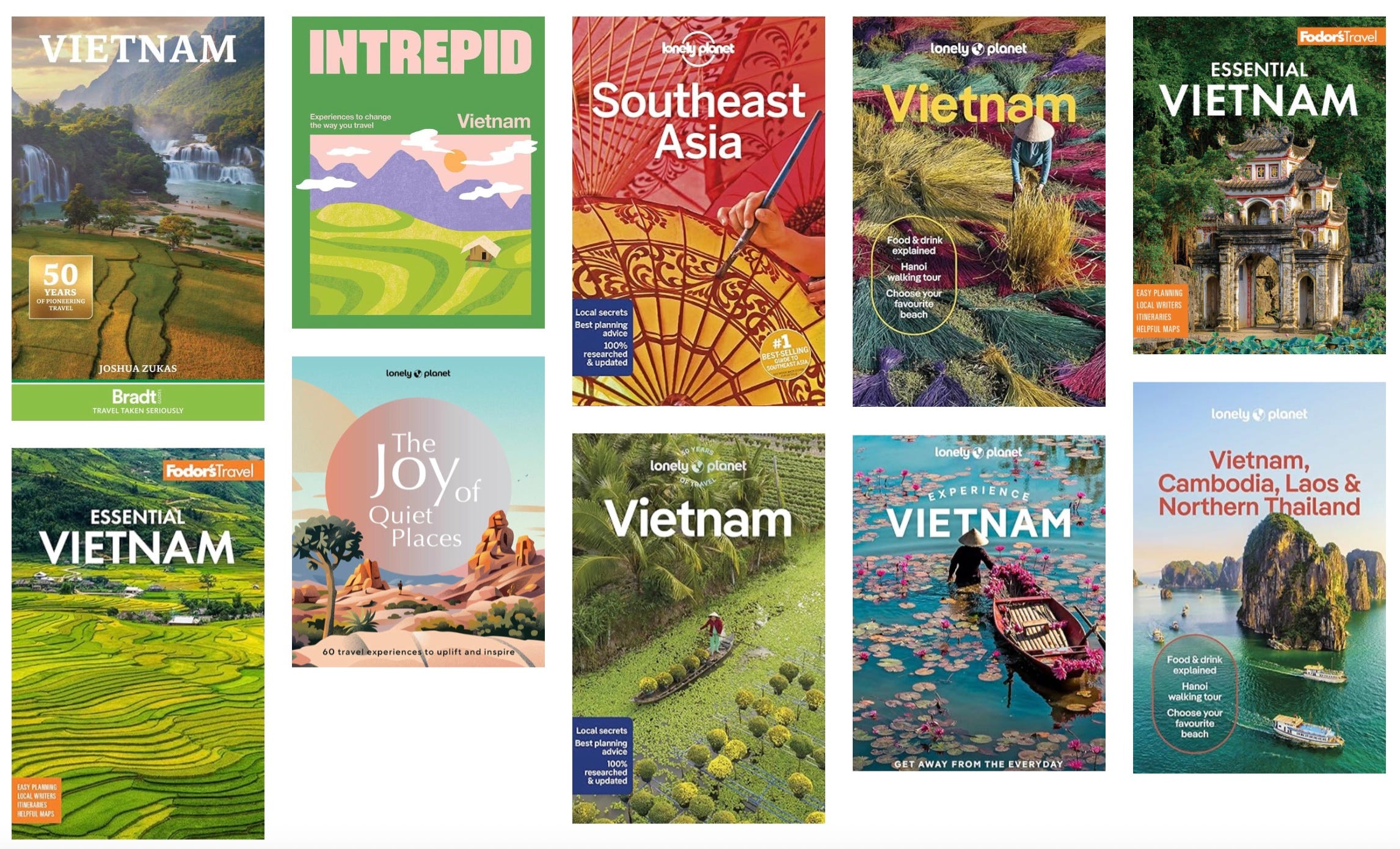 Guidebooks about Vietnam can provide researched details written by a dedicated author.