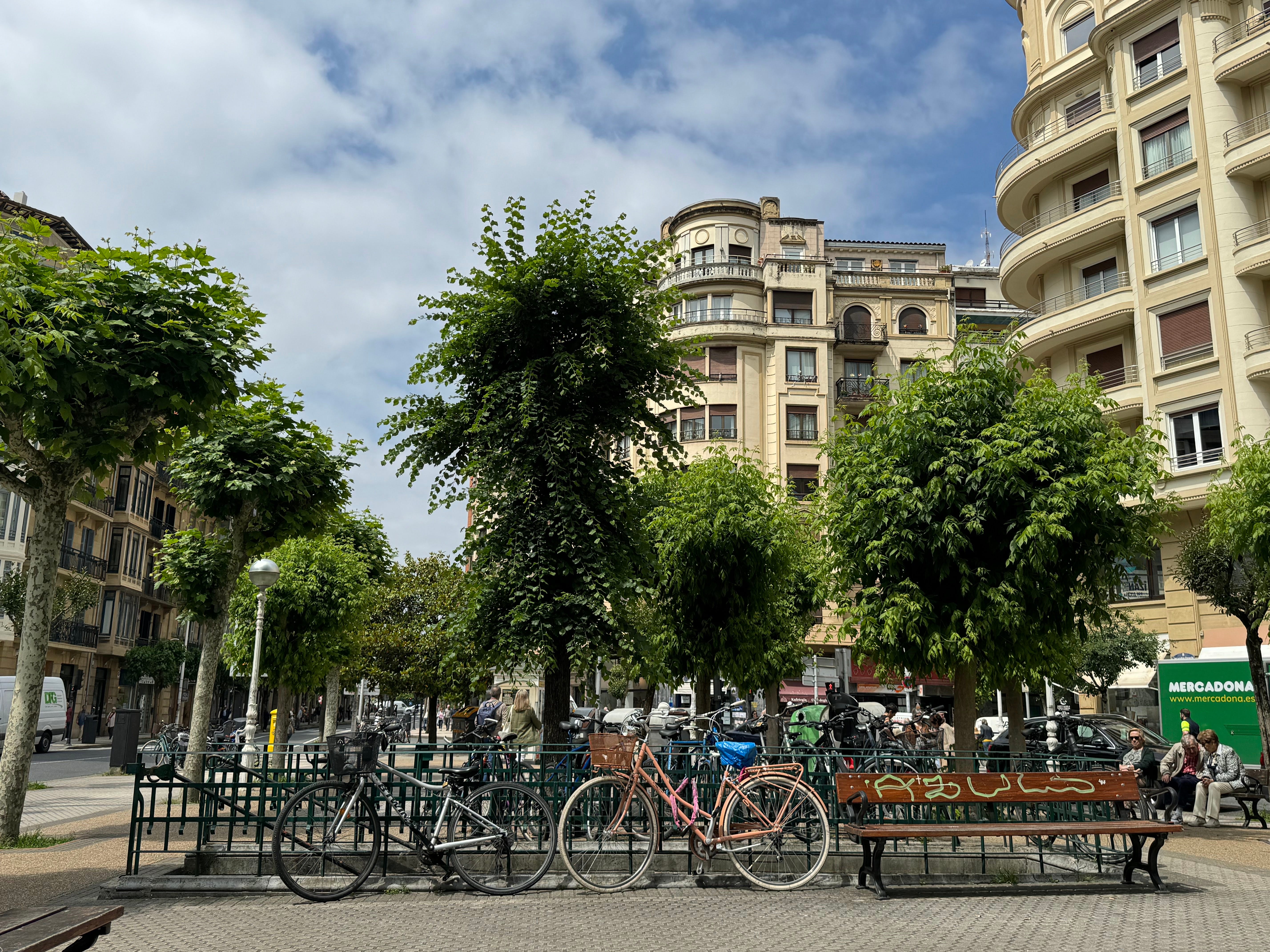 Bicycles parked next to trees in plaza area