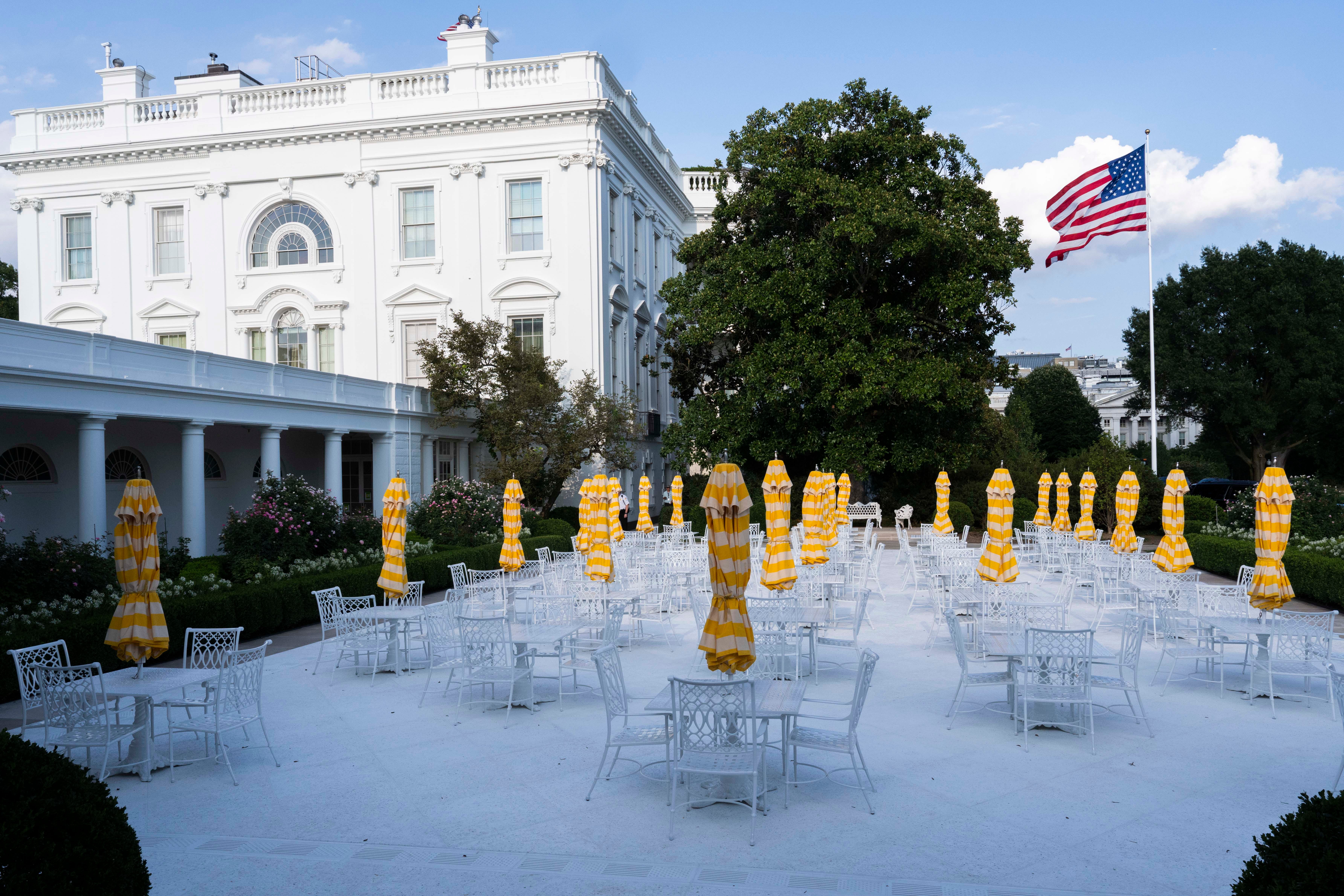 Rose Garden renovation