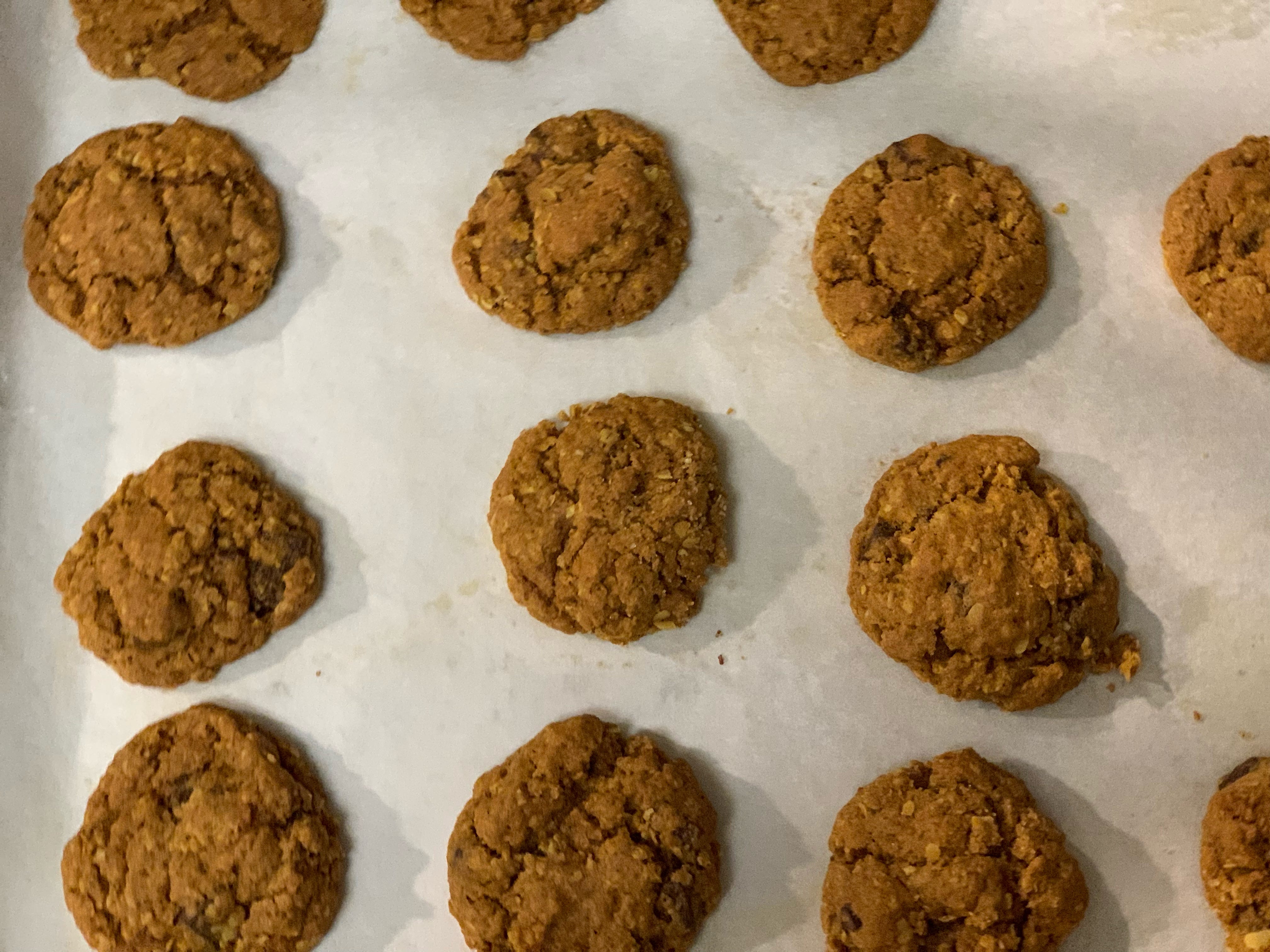 A baking tray lined with cooked Trader Joe's pumpkin spice oatmeal chocolate chip cookies