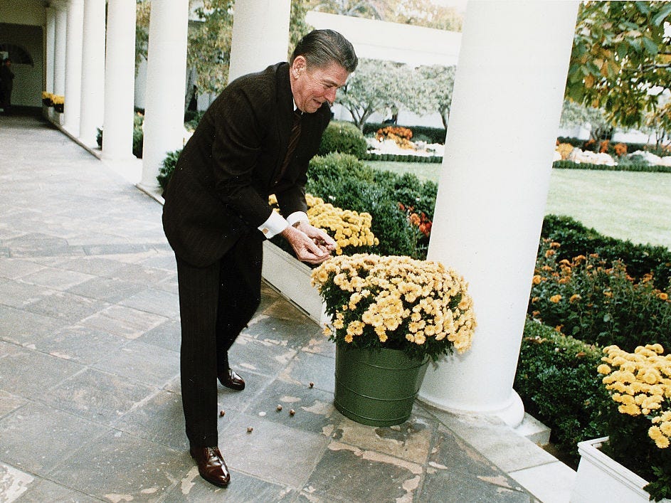 Ronald Reagan in the Rose Garden