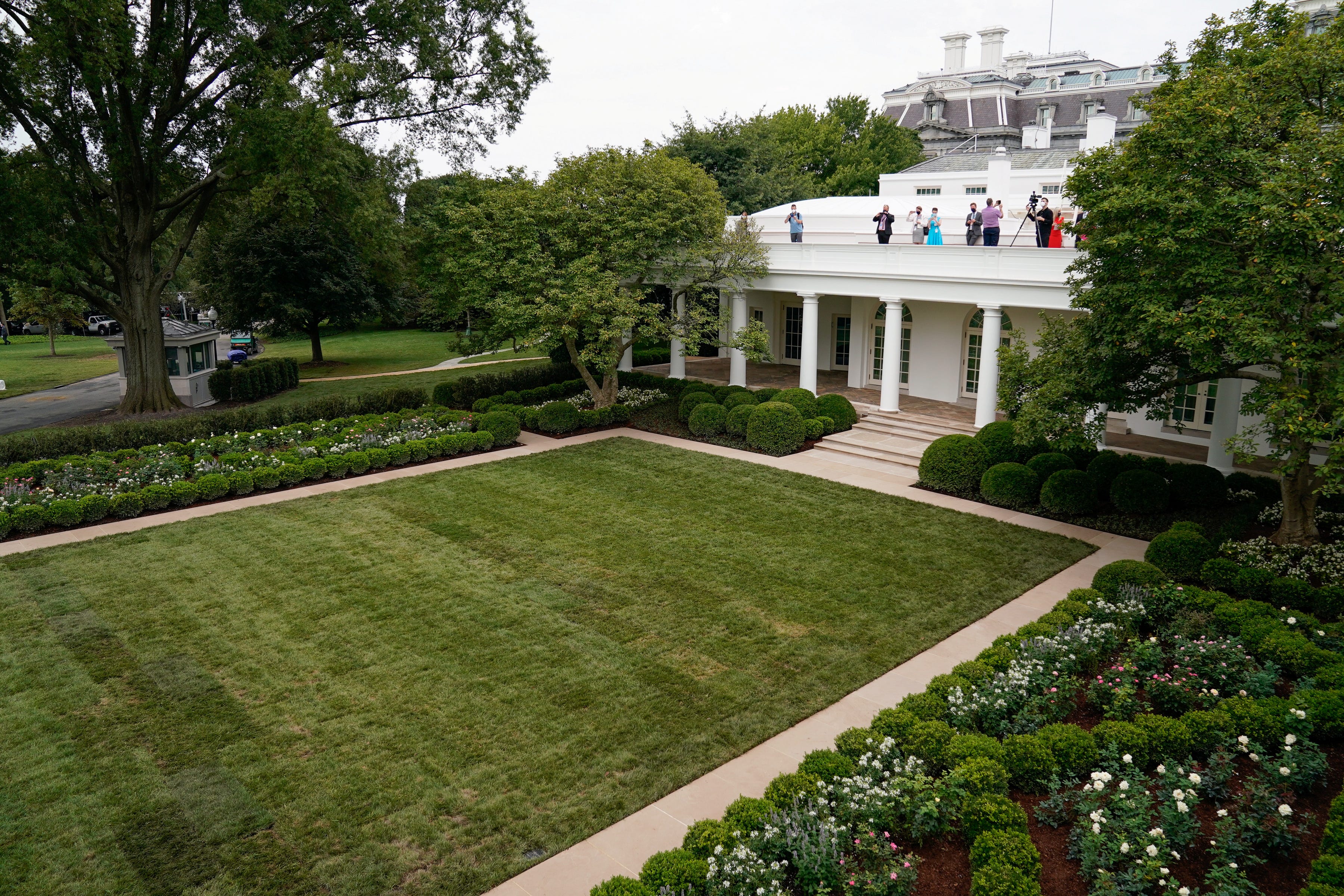white house rose garden melania trump