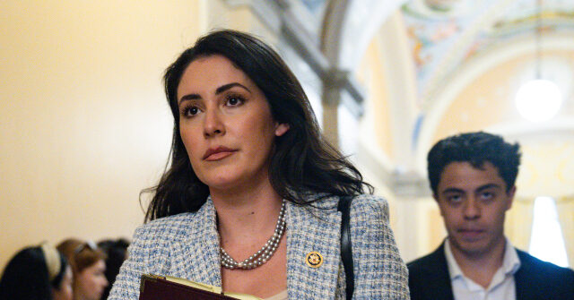 Rep. Yassamin Ansari Had to Google ‘Constituent,’ Defends Using Tax Dollars for Illegals